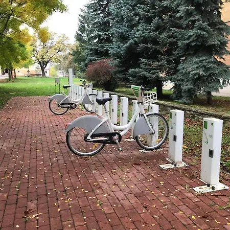 Center * Nagykanizsa