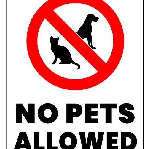 Center Appartement *